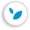 Blue leaves logo